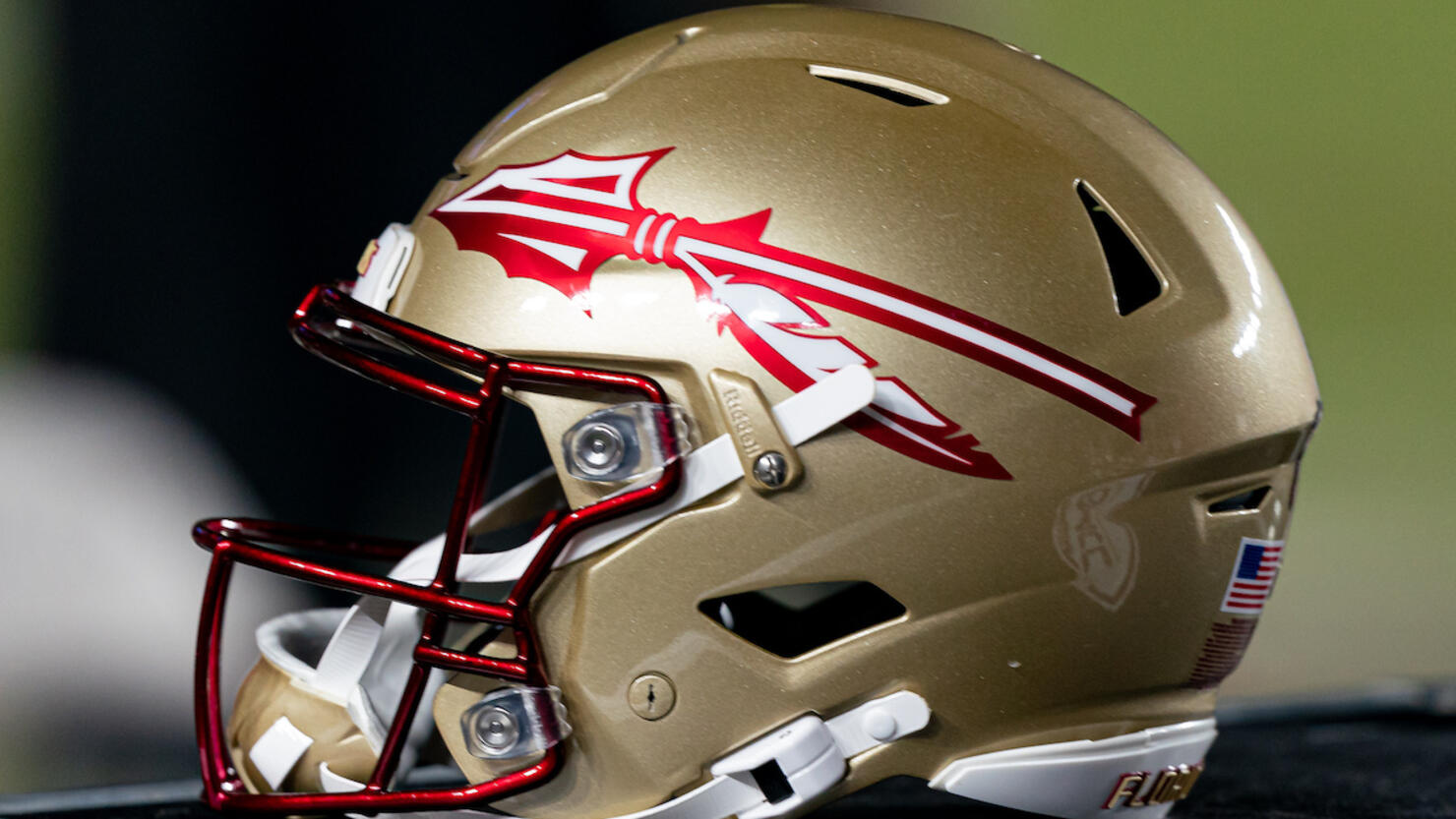 COLLEGE FOOTBALL: NOV 30 Florida at Florida State