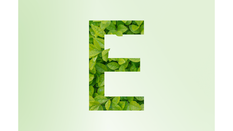 Letter B made of leaves on a green background