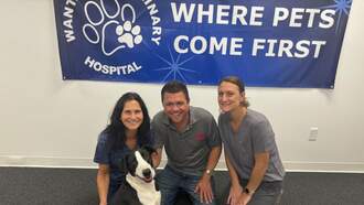 Let's Help My Pet Of The Week, Theo!