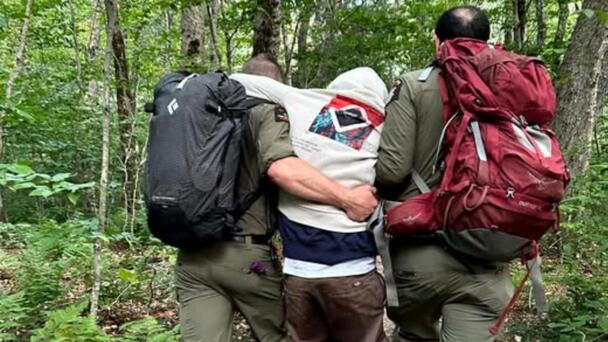 Hikers Rescued After Experiencing 'Debilitating High' From Magic Mushrooms