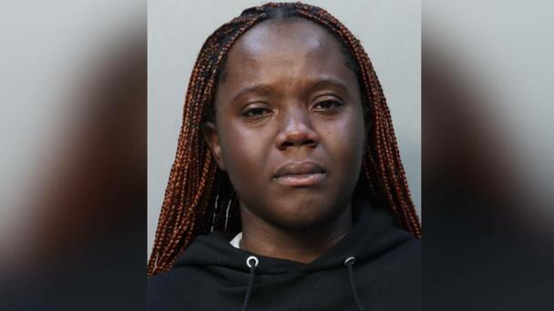 Woman Detained After Trying To Snatch Child From Mother At Miami Airport