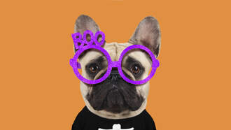 Halloween Deals And Treats To Score