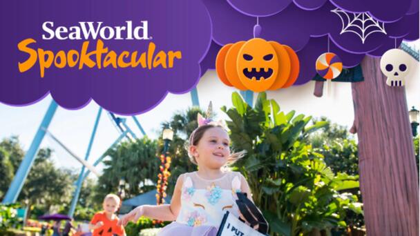 Lite Rock 99.3 Wants to Send you to SeaWorld's Halloween Spooktacular!