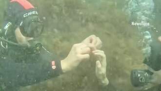 Engaged in the Black Sea