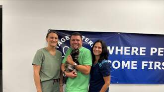 Let's Help My Pet Of The Week, Scottie!