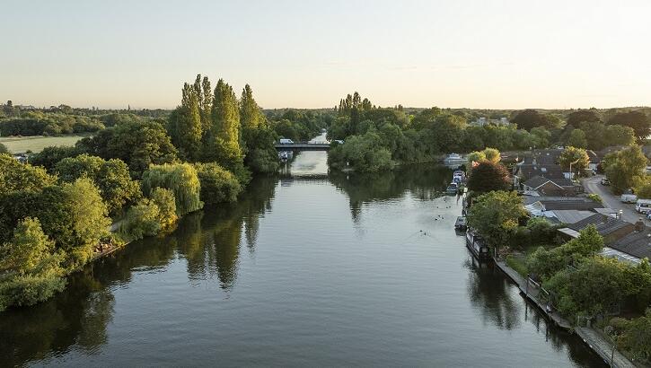 Watch: Weird 'Mystery Creature' Filmed Swimming in England's River Thames