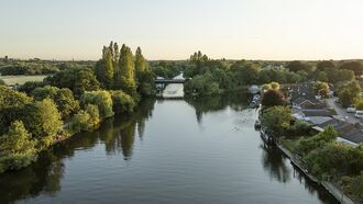 Watch: Weird 'Mystery Creature' Filmed Swimming in England's River Thames