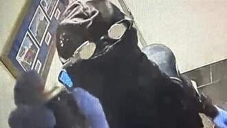 C2C's Bizarre Blotter for 2025