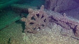 Video: 'Ghost Ship' Found in Lake Michigan After Sinking Nearly 140 Years Ago