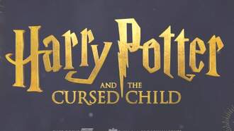 Kristin Interviews Star of Harry Potter & The Cursed Child at PPAC