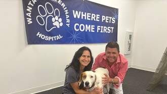 Let's Help My Pet Of The Week, Sherlock!