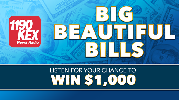 BIG BEAUTIFUL BILLS