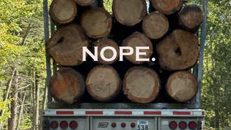 My Weekend: Concerts, Brews, The Cape (Porpoise) & a Near Death Experience