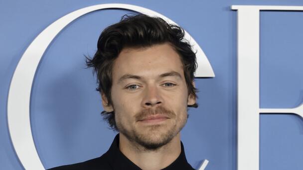 Harry Styles Secretly Runs Berlin Marathon Under Alias