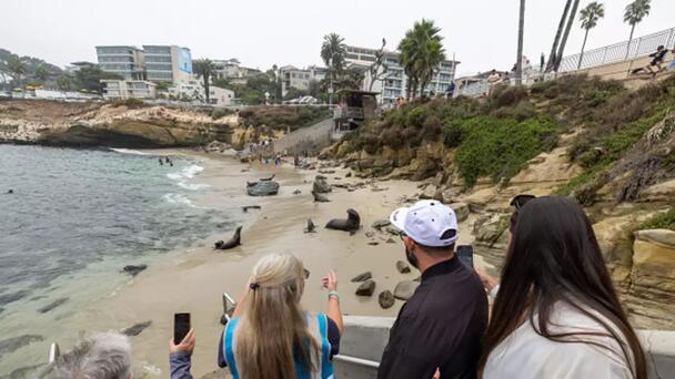 What's Next For La Jolla Cityhood?