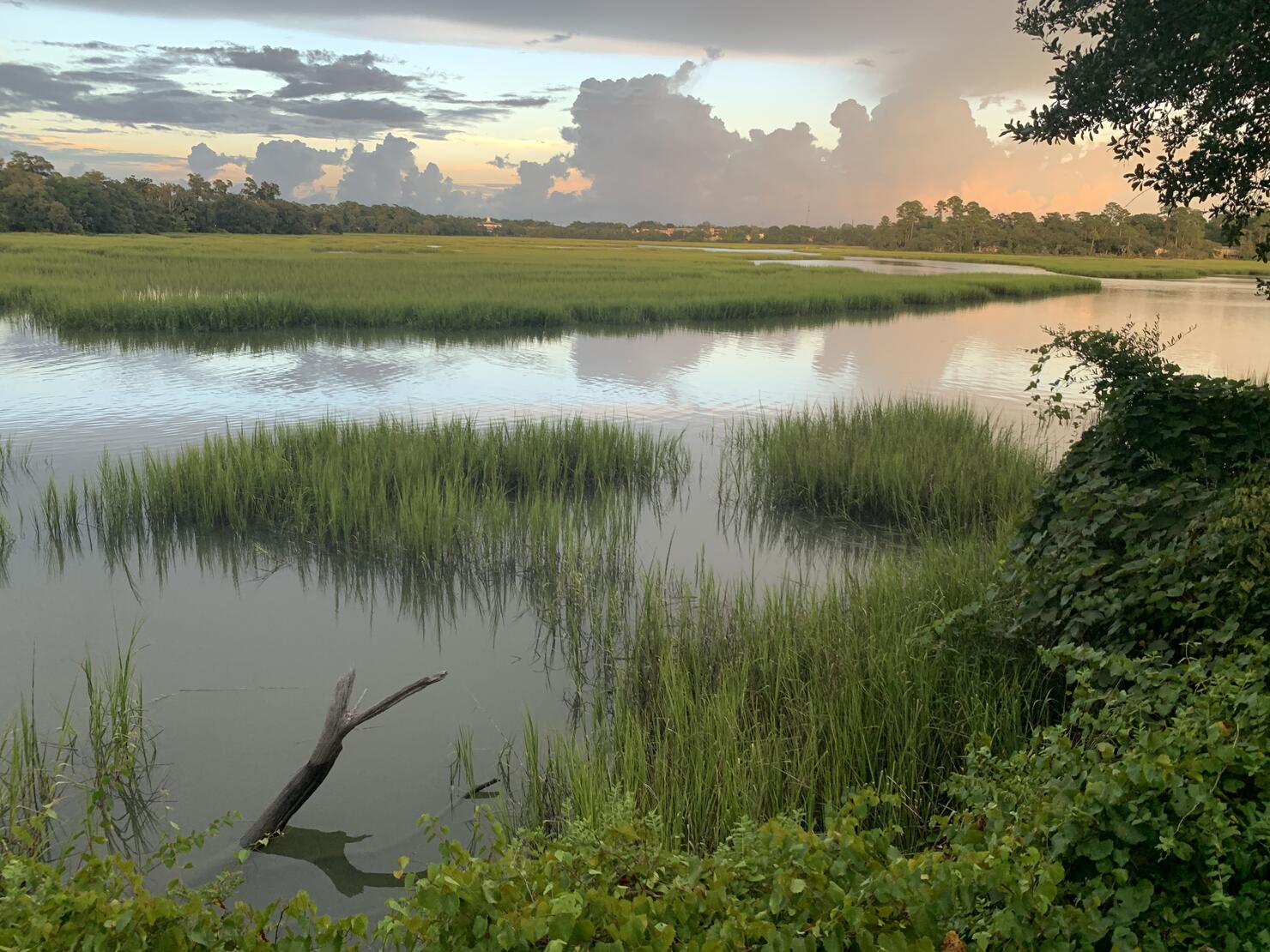 Marsh at Sunset