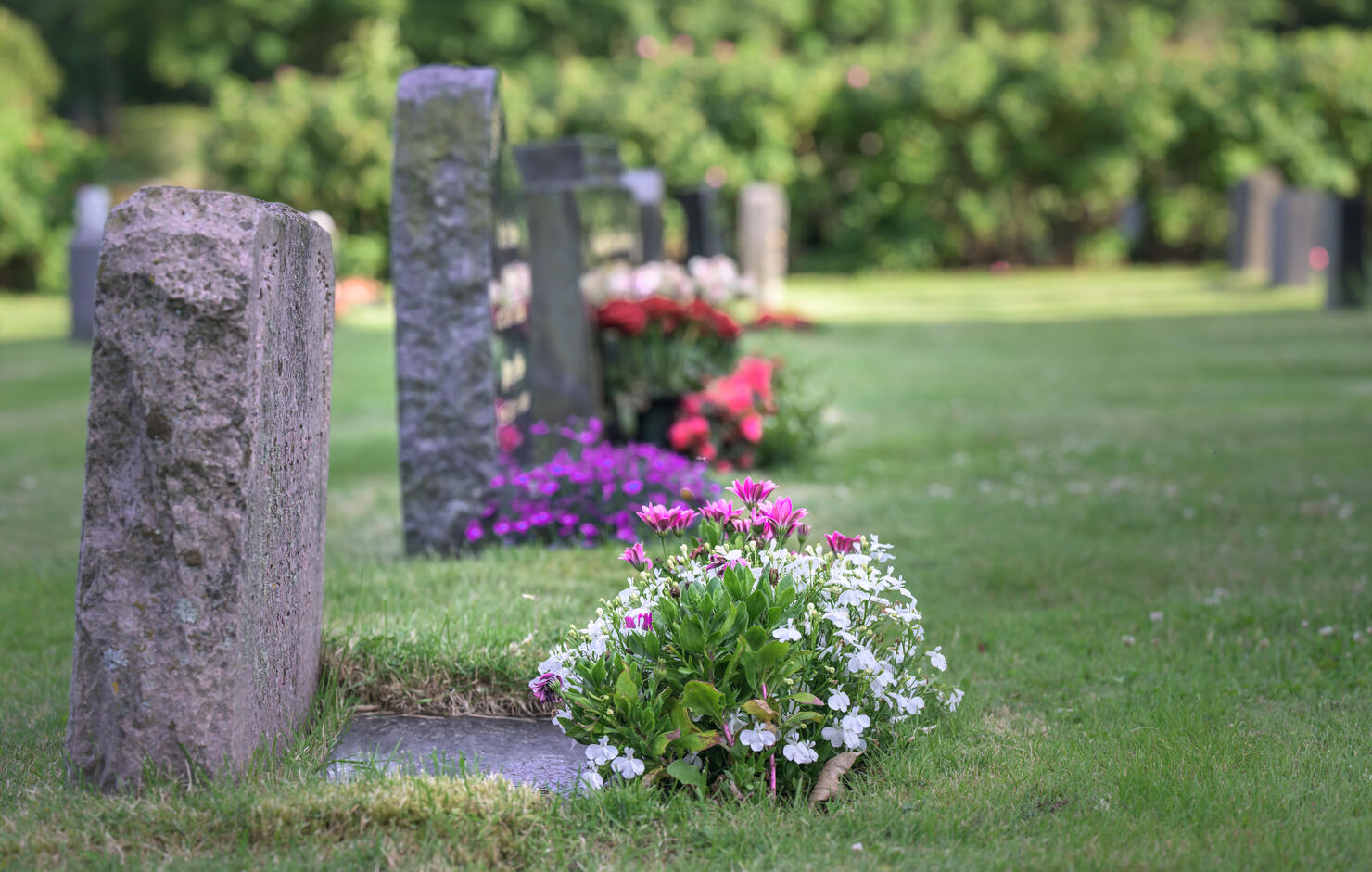 Old tombstones with flowers decorated