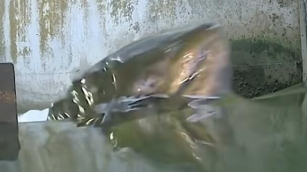 Salmon Move Further Up Klamath River