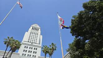 Special Report: LA's City Hall 'Gadflies'