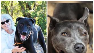  The Edge Pet of The Week 9/29