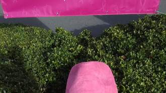 Breast Cancer Awareness Month - Meet Our Local Survivor Julie