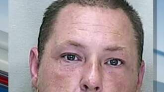 New Florida Cyber Law Used in AI Generated Child Porn Case