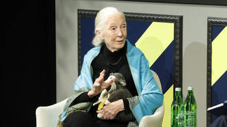 National News - Dr. Jane Goodall's Official Cause Of Death Determined