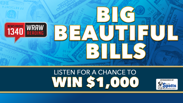 BIG BEAUTIFUL BILLS