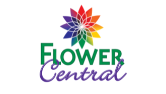 Flower Central - Minot 