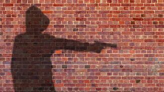 Driver Who Hit Dog Forced to Dig Animal's Grave by Its Angry Gun-Wielding Owner