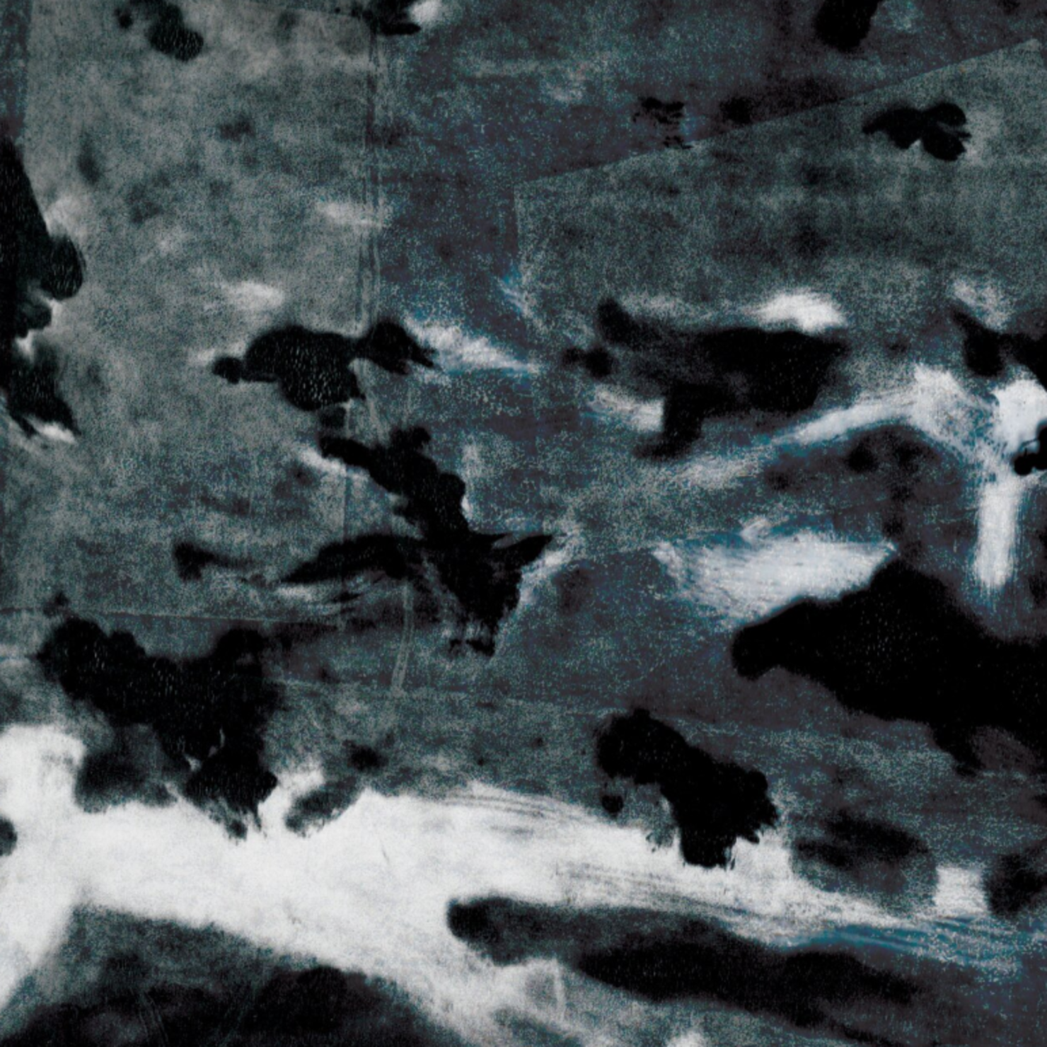 A Murder of Crows