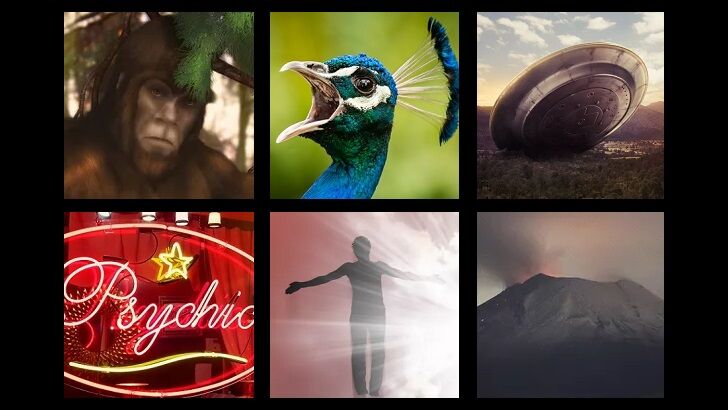 In Coast You Missed It 10/3/25