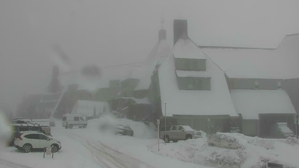 Liability Insurance Increase Causes Timberline Lodge Rate Hikes