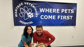 Let's Help My Pet Of The Week, Daisy!