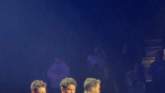 Bailey's Chilly October Weekend in Five Pics