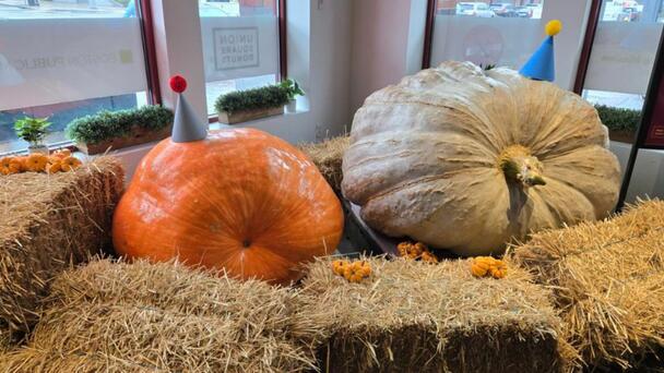 Giant Gourds Turning Heads Inside The Boston Public Market