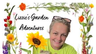 Bad Tom Turkeys and Rouge Pumpkins.