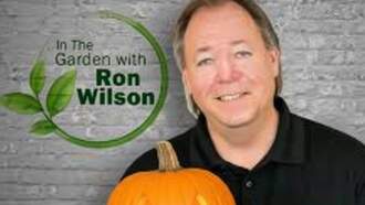 Plant of the Week - October 18th 2025 - Winterberry