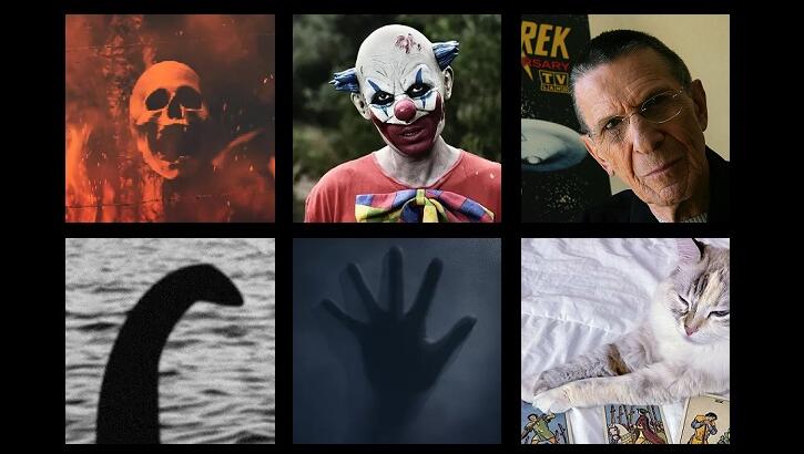 This Week's Weird News 10/17/25