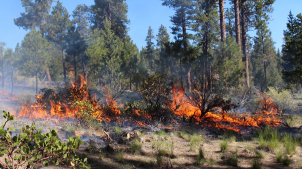 Oregon's Wildfire Season Ends