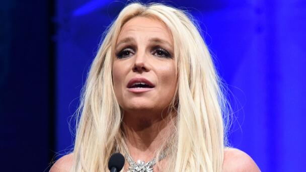 Britney Spears Shares Heartbreaking Message: 'My Wings Were Taken Away'