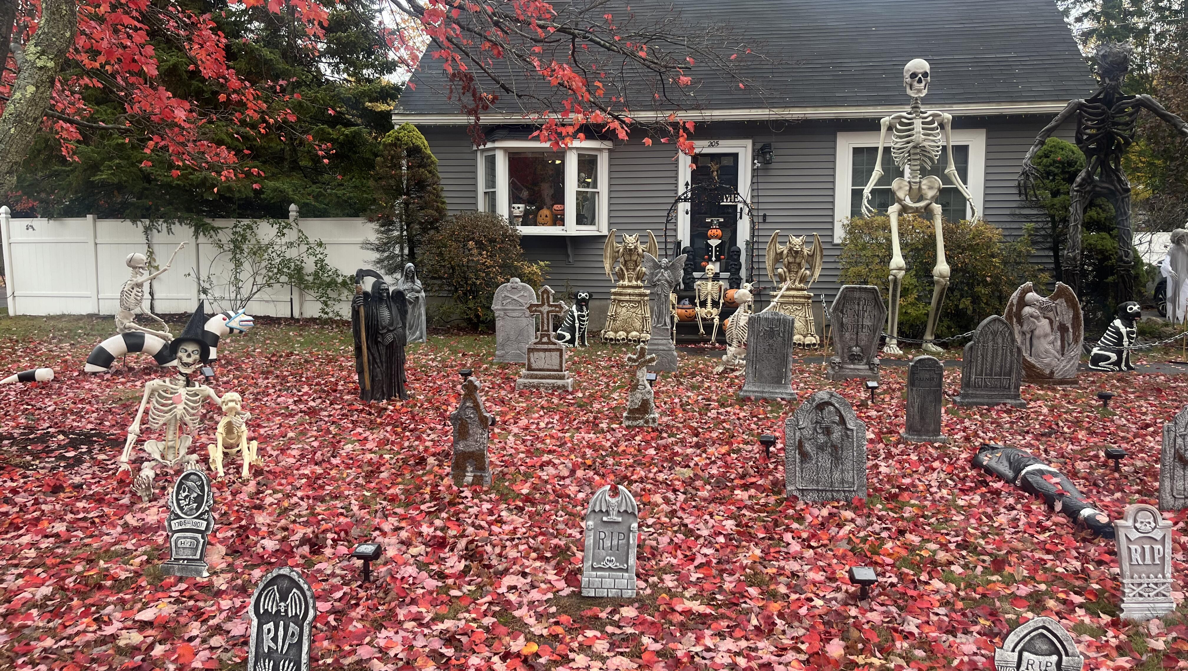 Fun houses I see on my walks!