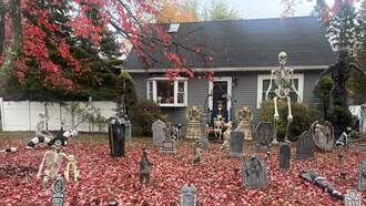 Fun houses I see on my walks!