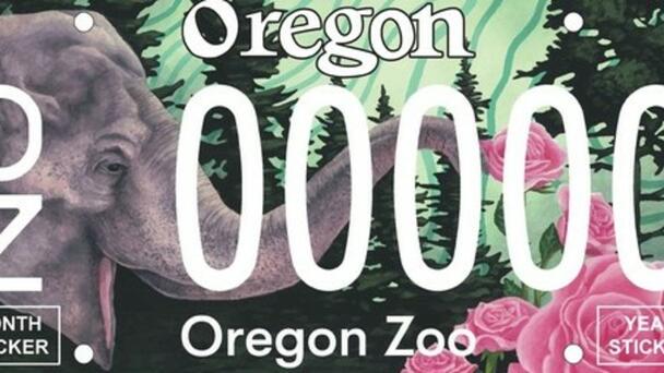 Oregon Zoo License Plates Coming