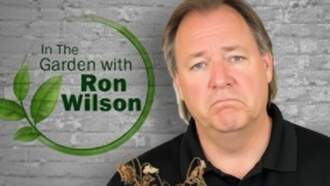 CBS Sunday Morning Segment - The pride and perils of plant parenthood