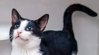 WDSD's Best Buddy: Meet Blop