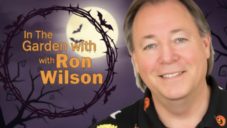 Plant of the Week - Spooky Plants