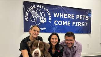 Let's Help My Pet Of The Week, Evander!