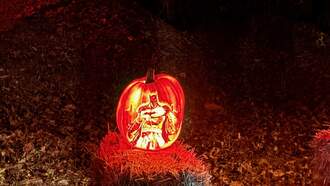 My Epic Weekend In Pictures: Jack O Fun!