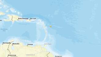 6.5 Magnitude Earthquake Reported